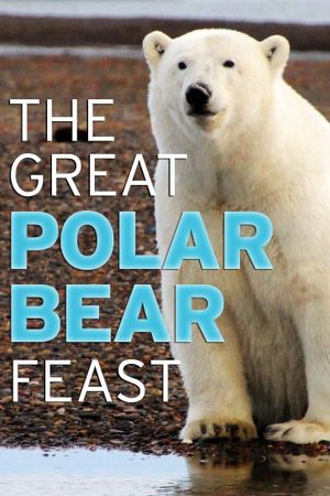 The Great Polar Bear Feast's poster