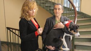 Un divorce de chien's poster