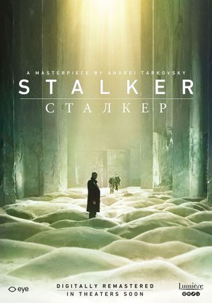 Stalker's poster