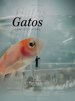 Gatos Com Oito Vidas's poster