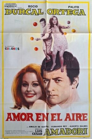 Love in Flight's poster