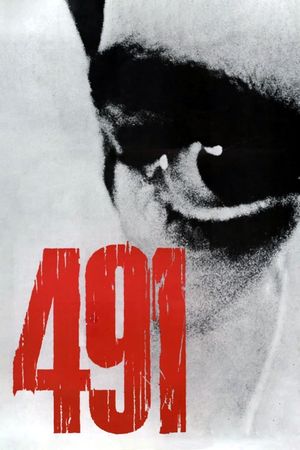491's poster