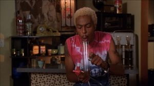 Van Wilder's poster