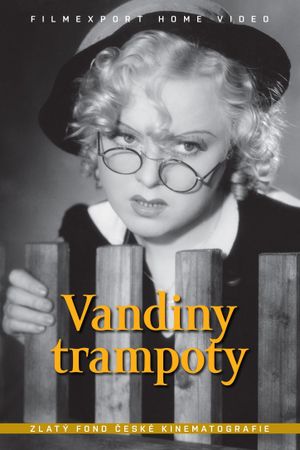 Vandiny trampoty's poster
