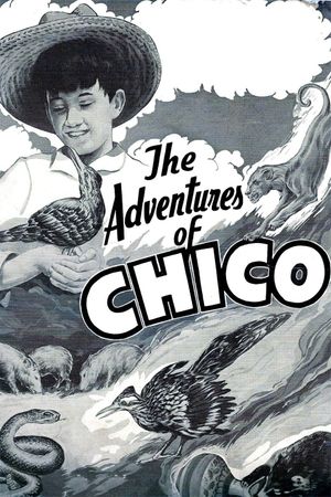The Adventures of Chico's poster
