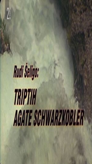 Triptych of Agata Schwarzkobler's poster