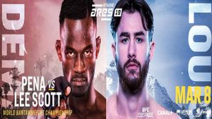 ARES Fighting Championship 19: Pena vs. Lee's poster