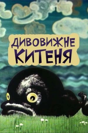 The Amazing Little Whale's poster