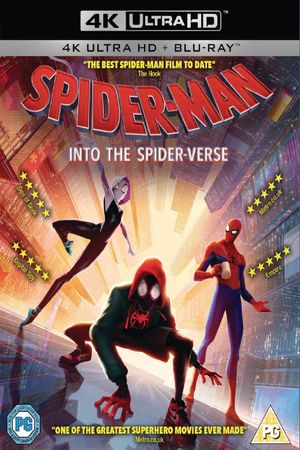 Spider-Man: Into the Spider-Verse's poster