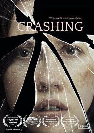 Crashing's poster