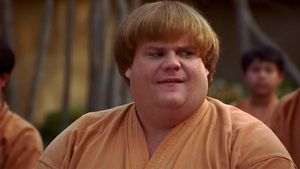 Beverly Hills Ninja's poster