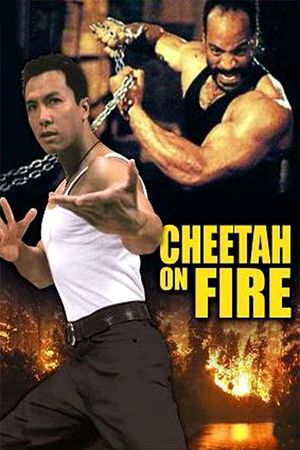 Cheetah on Fire's poster