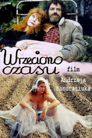 Wrzeciono czasu's poster