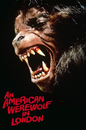 An American Werewolf in London's poster
