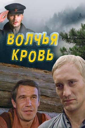 Volchya krov's poster