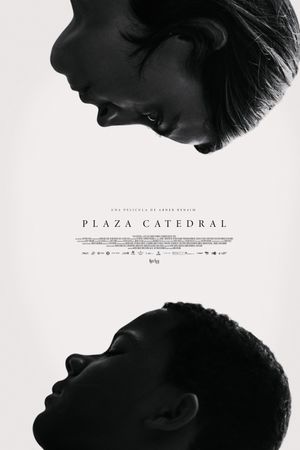 Plaza Catedral's poster