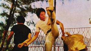 Kung Fu Cops's poster