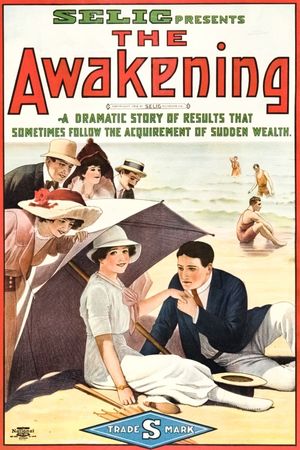 The Awakening's poster