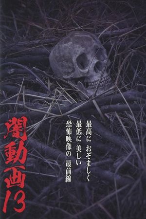 Tokyo Videos of Horror 13's poster