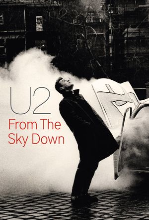 From the Sky Down's poster