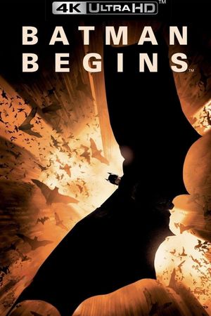 Batman Begins's poster