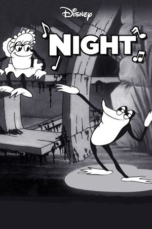 Night's poster