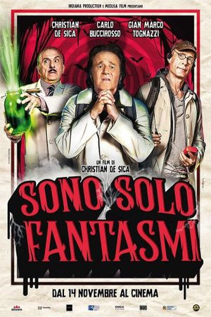 Sono solo fantasmi's poster