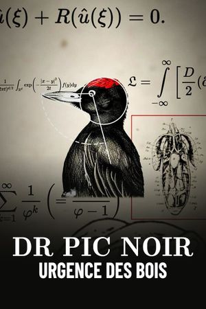 Dr Pic Noir, urgence des bois's poster