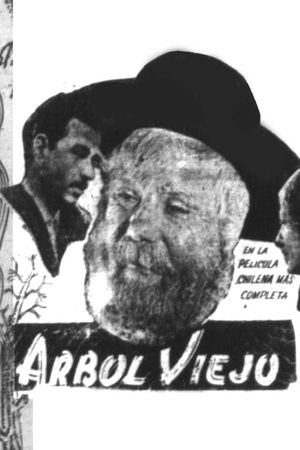 Árbol viejo's poster