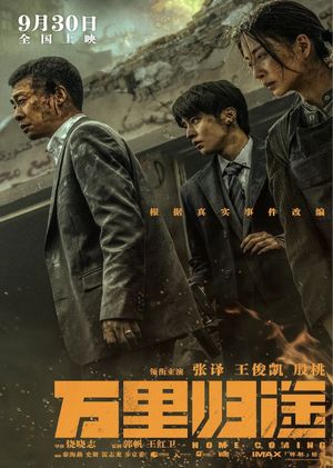 Home Coming's poster