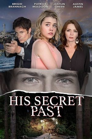 His Secret Past's poster