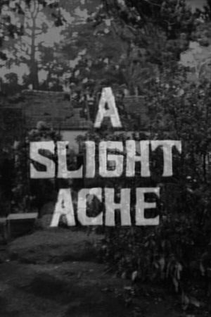 A Slight Ache's poster