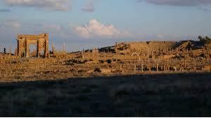 Timgad's poster