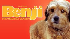 Benji's poster