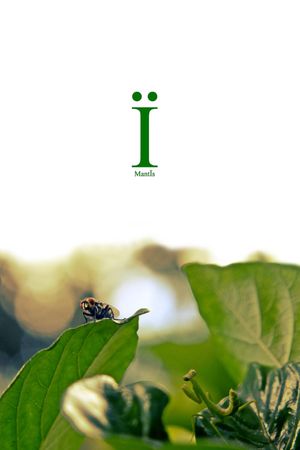 Mantïs's poster