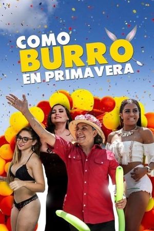 Como burro en primavera's poster