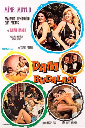 Dam Budalasi's poster