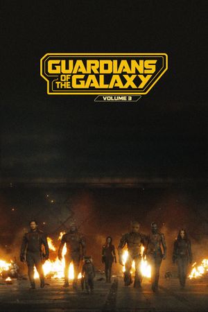 Guardians of the Galaxy Vol. 3's poster