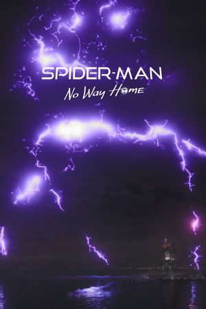 Spider-Man: No Way Home's poster