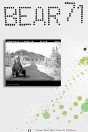 Bear 71's poster