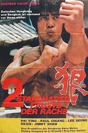 Kung Fu-ry's poster