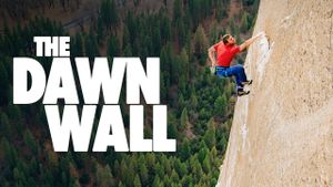 The Dawn Wall's poster