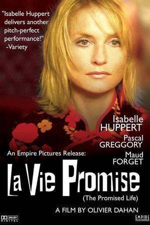 La vie promise's poster