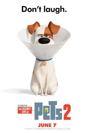 The Secret Life of Pets 2's poster