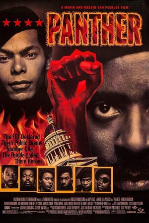 Panther's poster