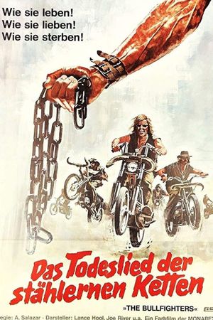 The Bullfighters's poster