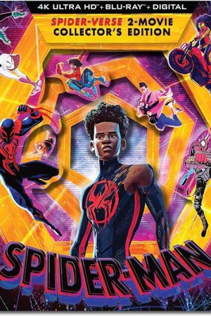Spider-Man: Across the Spider-Verse's poster