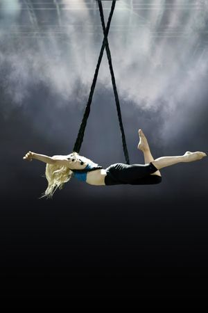 The Aerialist's poster