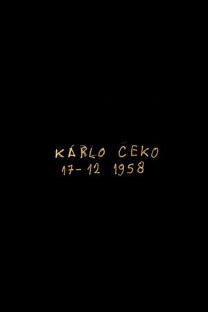 Karlo Čeko, Strasbourg Saint-Denis, Paris's poster