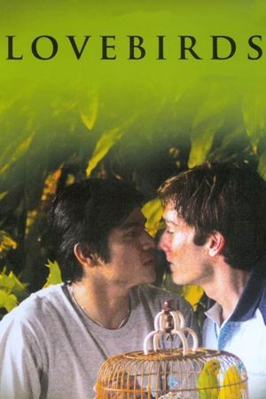 Lovebirds's poster